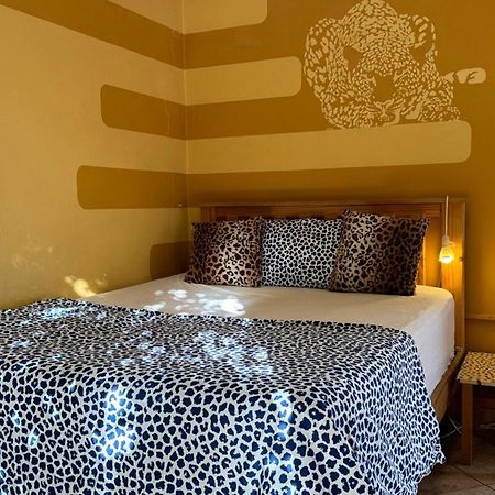 Paradisegarden Backpackers Windhoek Extérieur photo