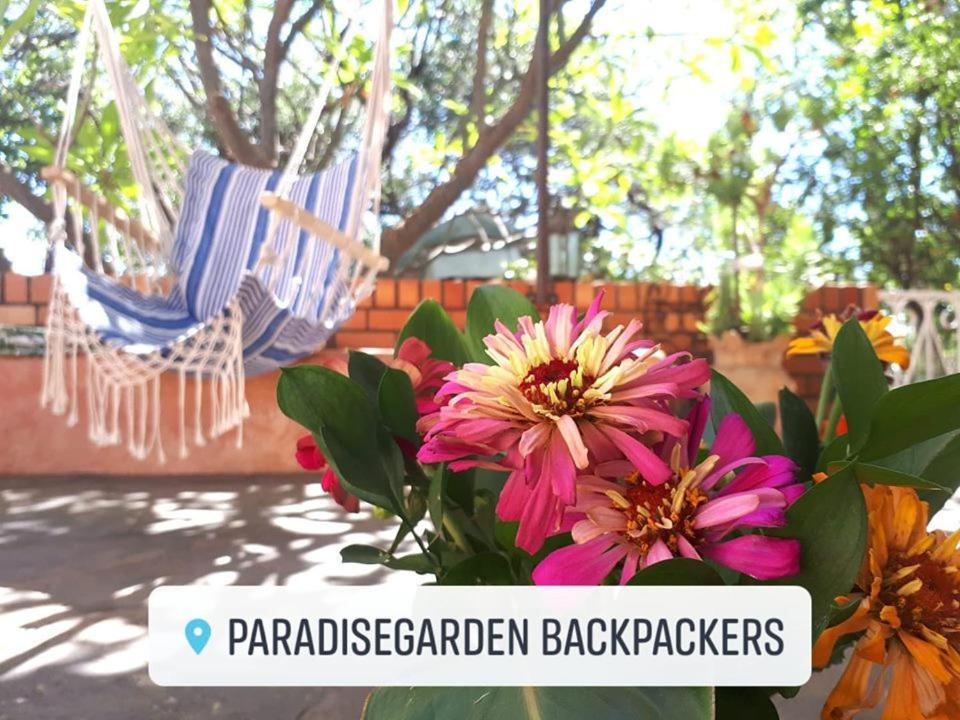 Paradisegarden Backpackers Windhoek Extérieur photo