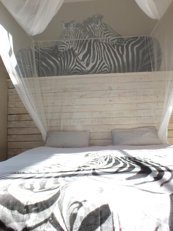 Paradisegarden Backpackers Windhoek Extérieur photo