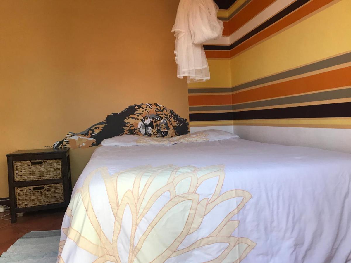 Paradisegarden Backpackers Windhoek Extérieur photo