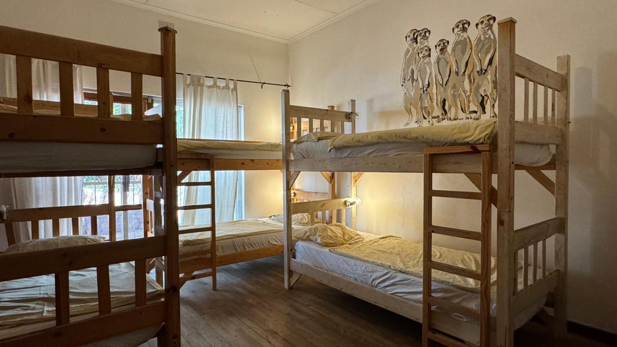 Paradisegarden Backpackers Windhoek Extérieur photo